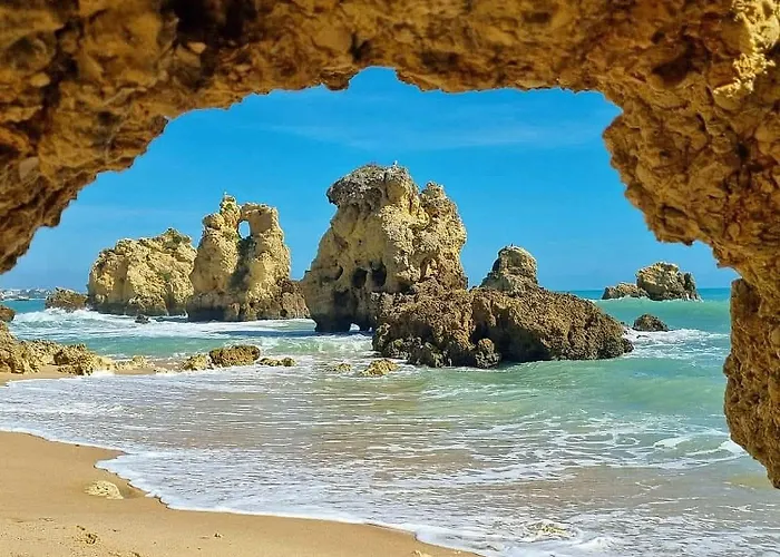 Paraiso - Naturism Optional Adults Only