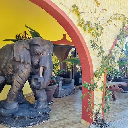 Paraiso - Naturism Optional Adults Only Bed & Breakfast