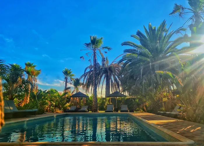 Paraiso - Naturism Optional Adults Only Bed & Breakfast
